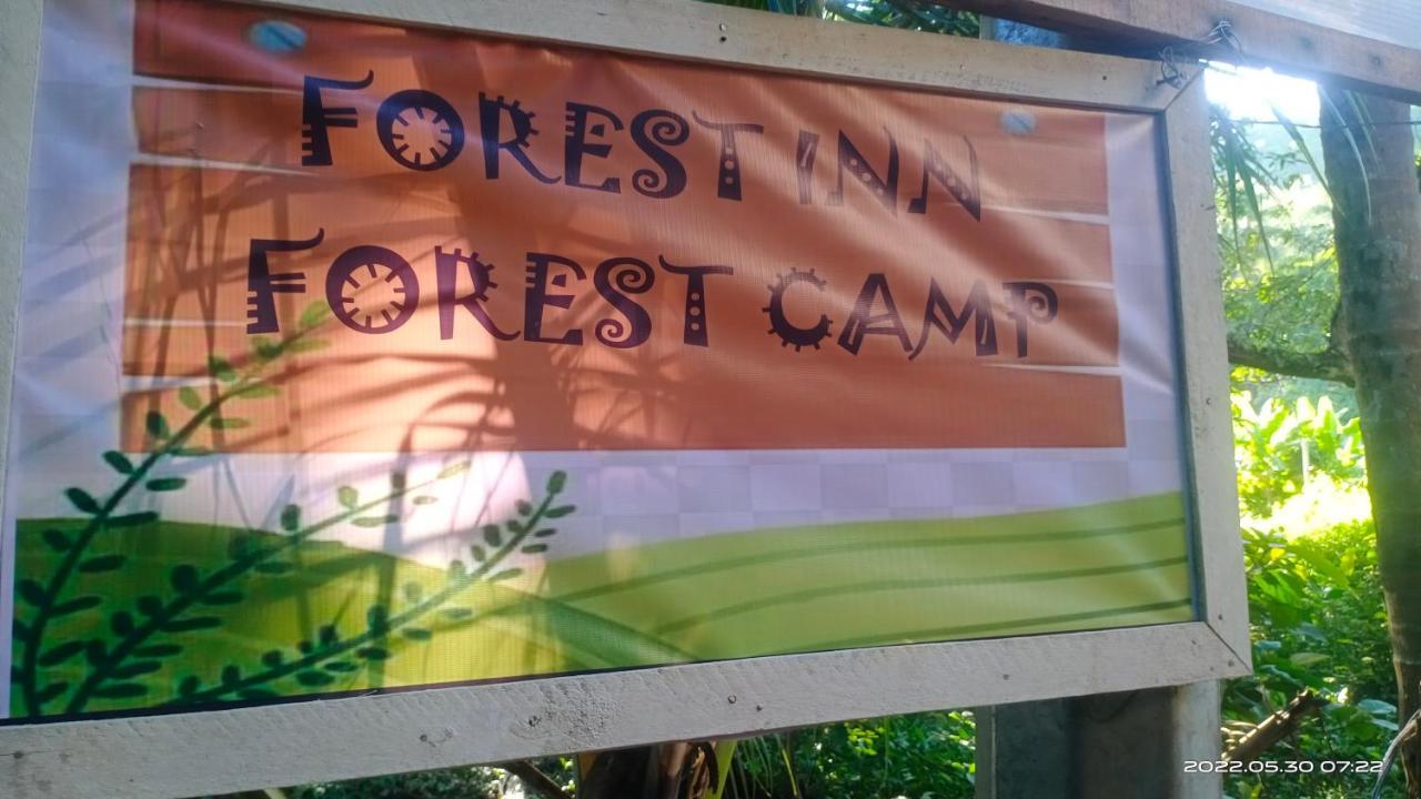 Forest Inn El Nido Exterior foto